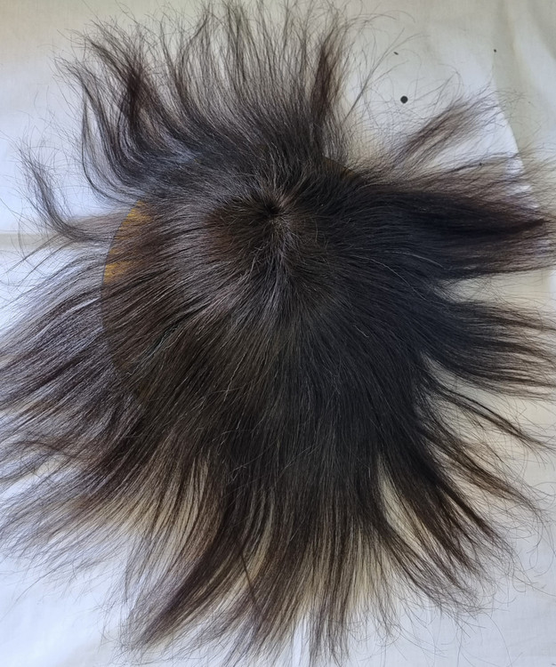 پروتز خورشیدی