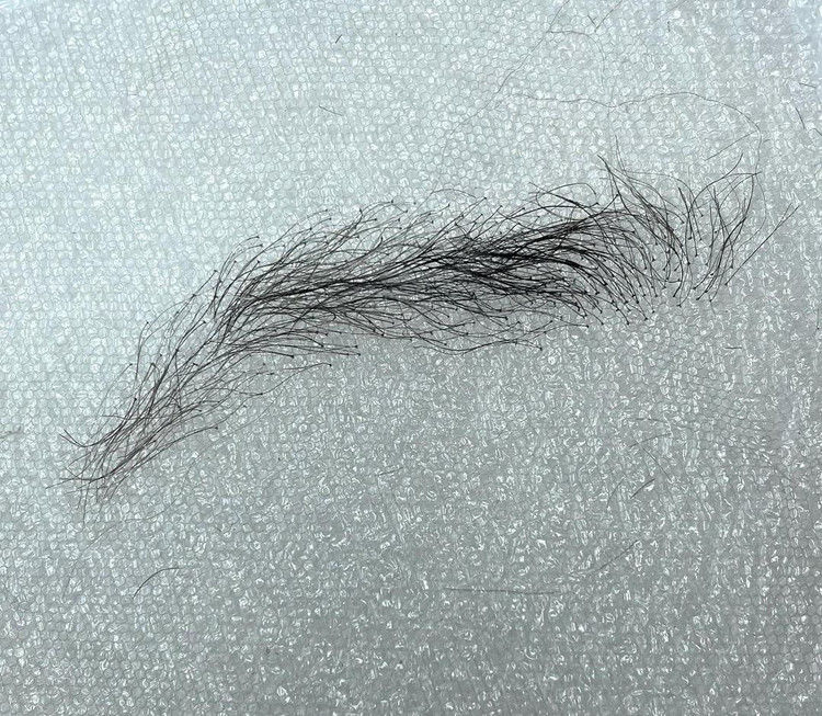 پروتز ابروی طبیعی کد 9029